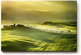 Sinus Art Wandbild 120x80cm Tief liegendes Licht über grünen Hügeln mit typischer Zypressenallee und Bauernhof