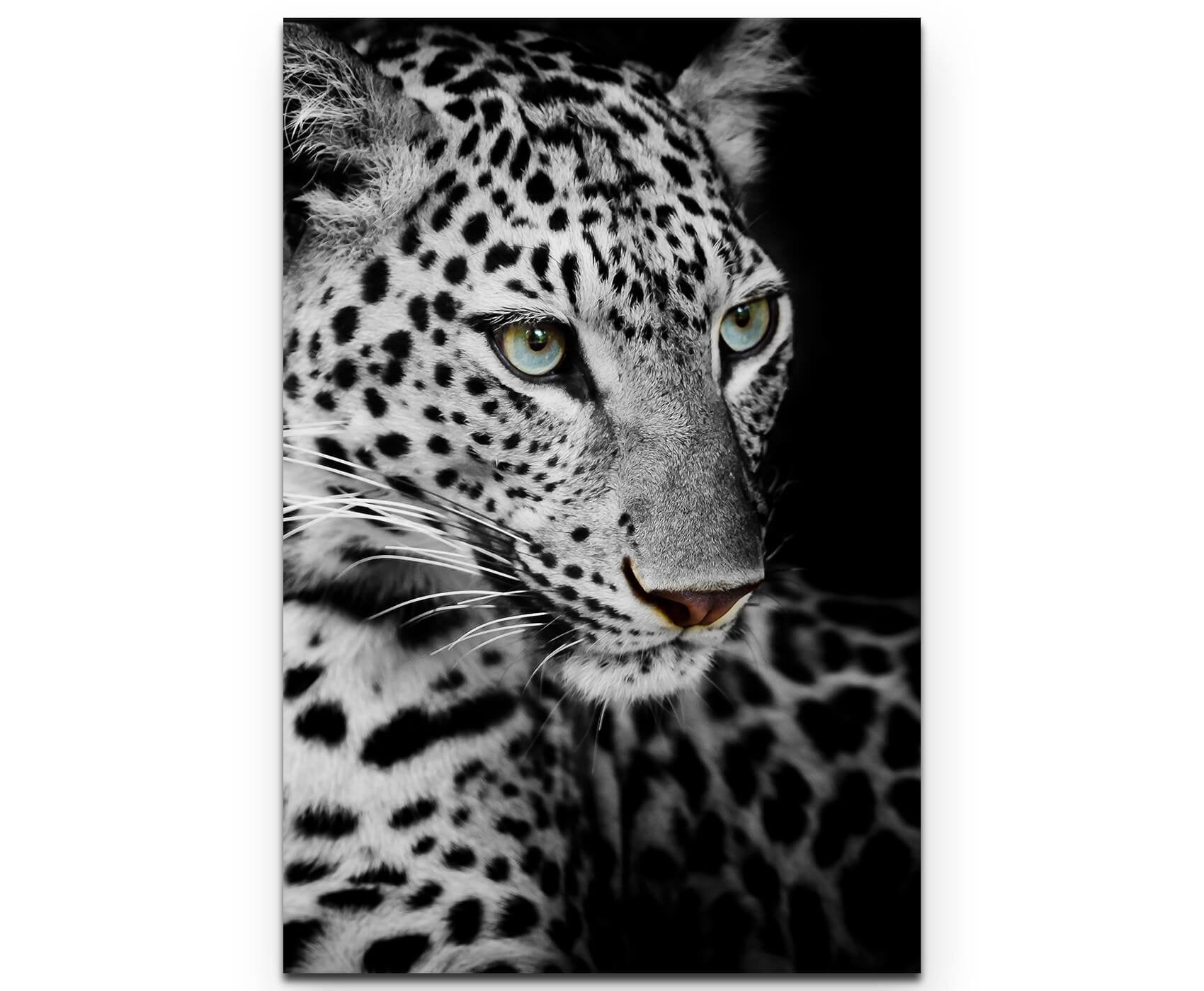 Paul Sinus Art Leinwandbilder | Bilder Leinwand 60x60cm Portrait eines liegenden Leoparden schwarzweiß