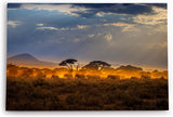 Paul Sinus Wandbild 120x80cm Elefantenherde Elefanten Afrika Wildnis Sonnenuntergang