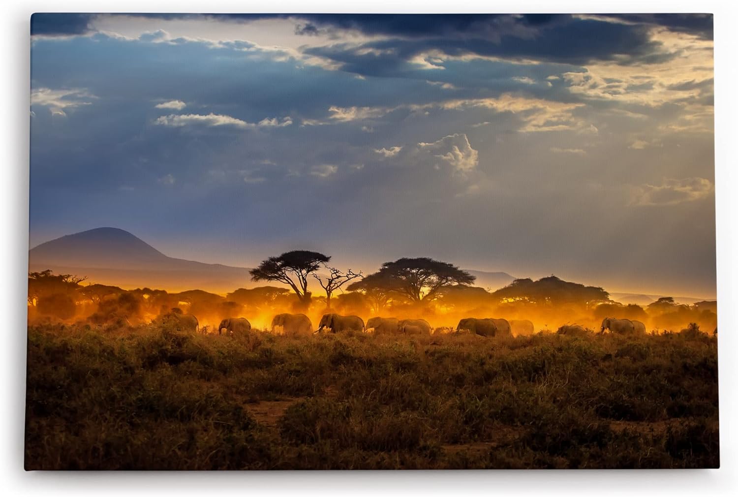 Paul Sinus Wandbild 120x80cm Elefantenherde Elefanten Afrika Wildnis Sonnenuntergang