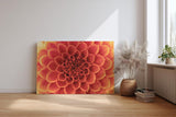 Sinus Art Wandbild 120x80cm Faszinierende Blütenstruktur in perfekter Symmetrie als Symbol für Schönheit und Harmonie
