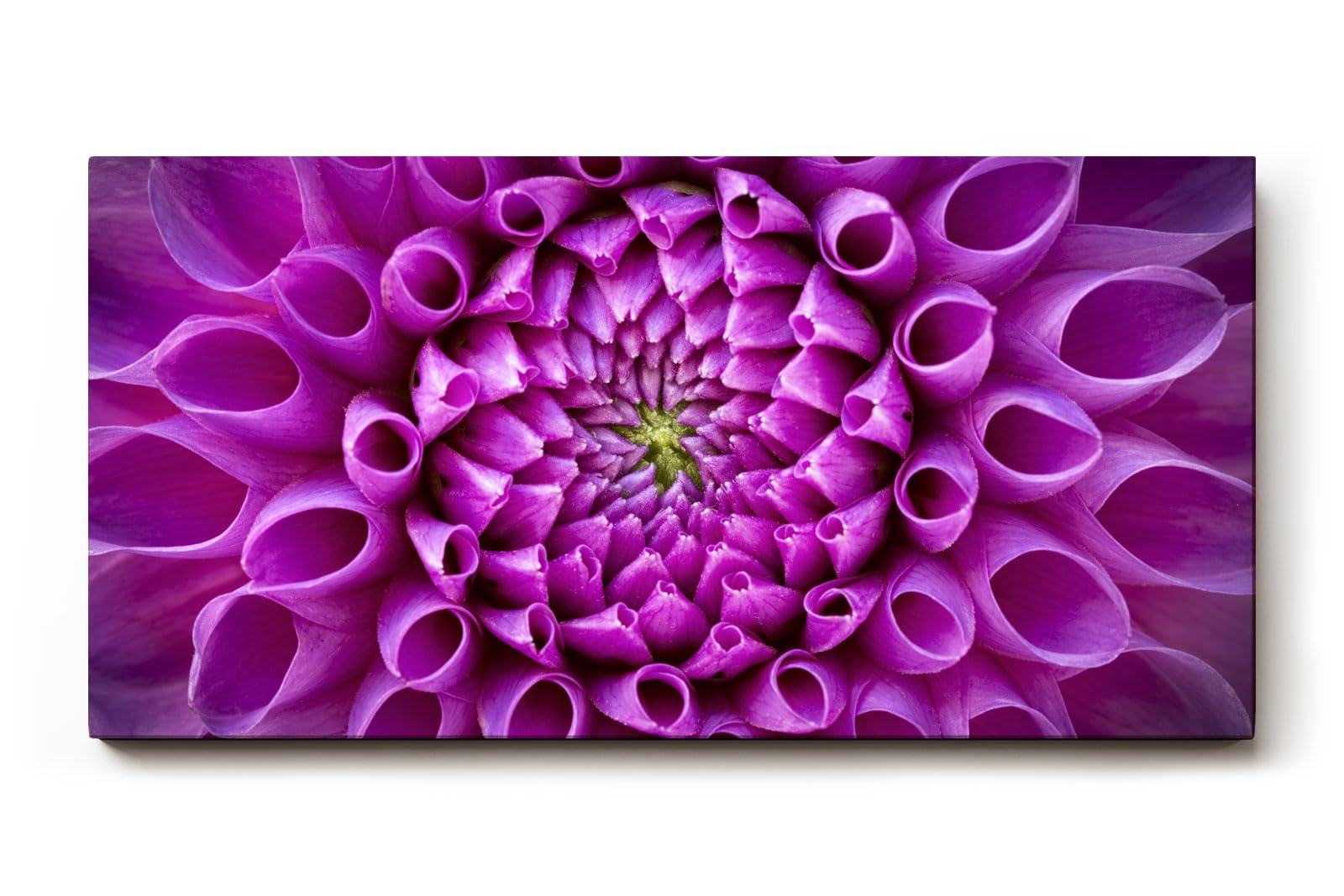 Sinus Art Wandbild 120x80cm Symmetrische Blütenarchitektur in kräftigem Violett mit ausdrucksstarker Mitte