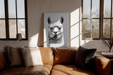 Paul Sinus Wandbild in 40x60cm Bad Hair Llama – humorvolles Lama-Porträt in Schwarz-Weiß mit witzigem Ausdruck