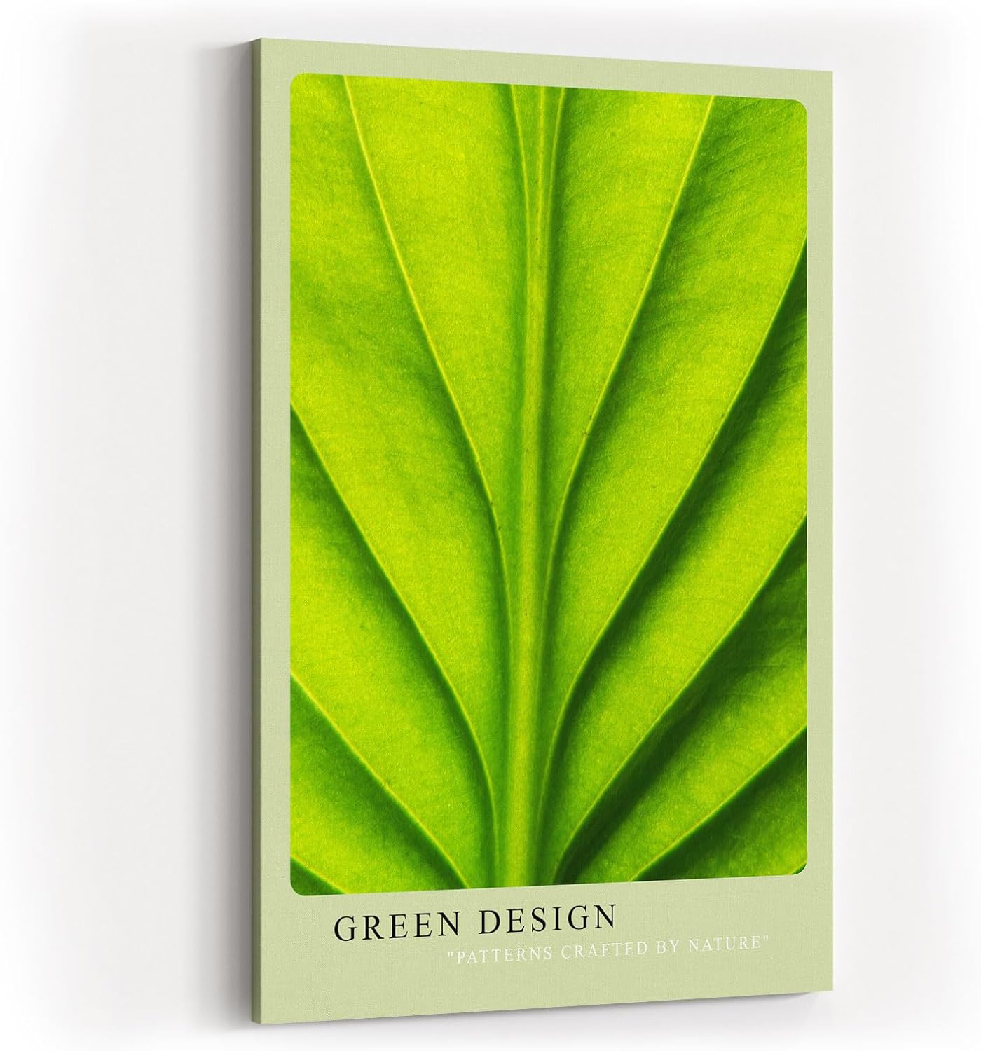 Paul Sinus Kunstdruck 40x60cm Green Design mit Makroaufnahme eines grünen Blattes