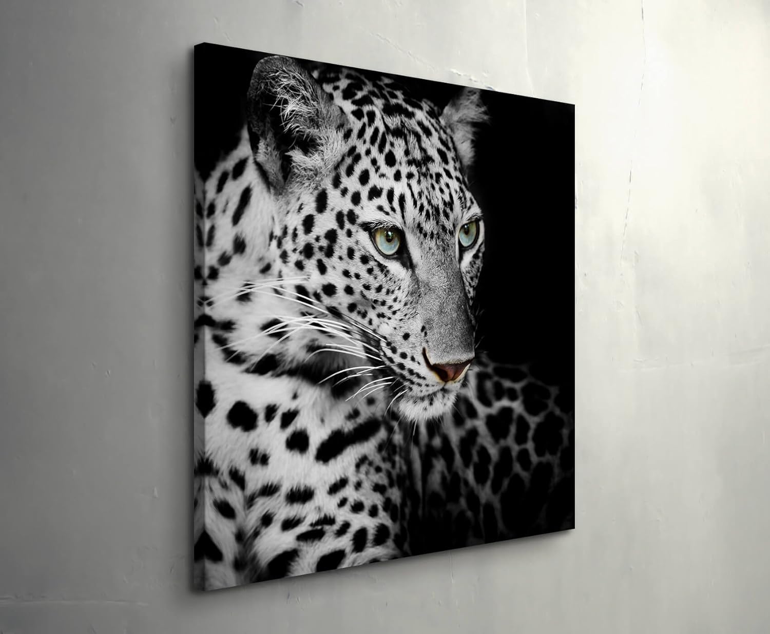 Paul Sinus Art Leinwandbilder | Bilder Leinwand 60x60cm Portrait eines liegenden Leoparden schwarzweiß