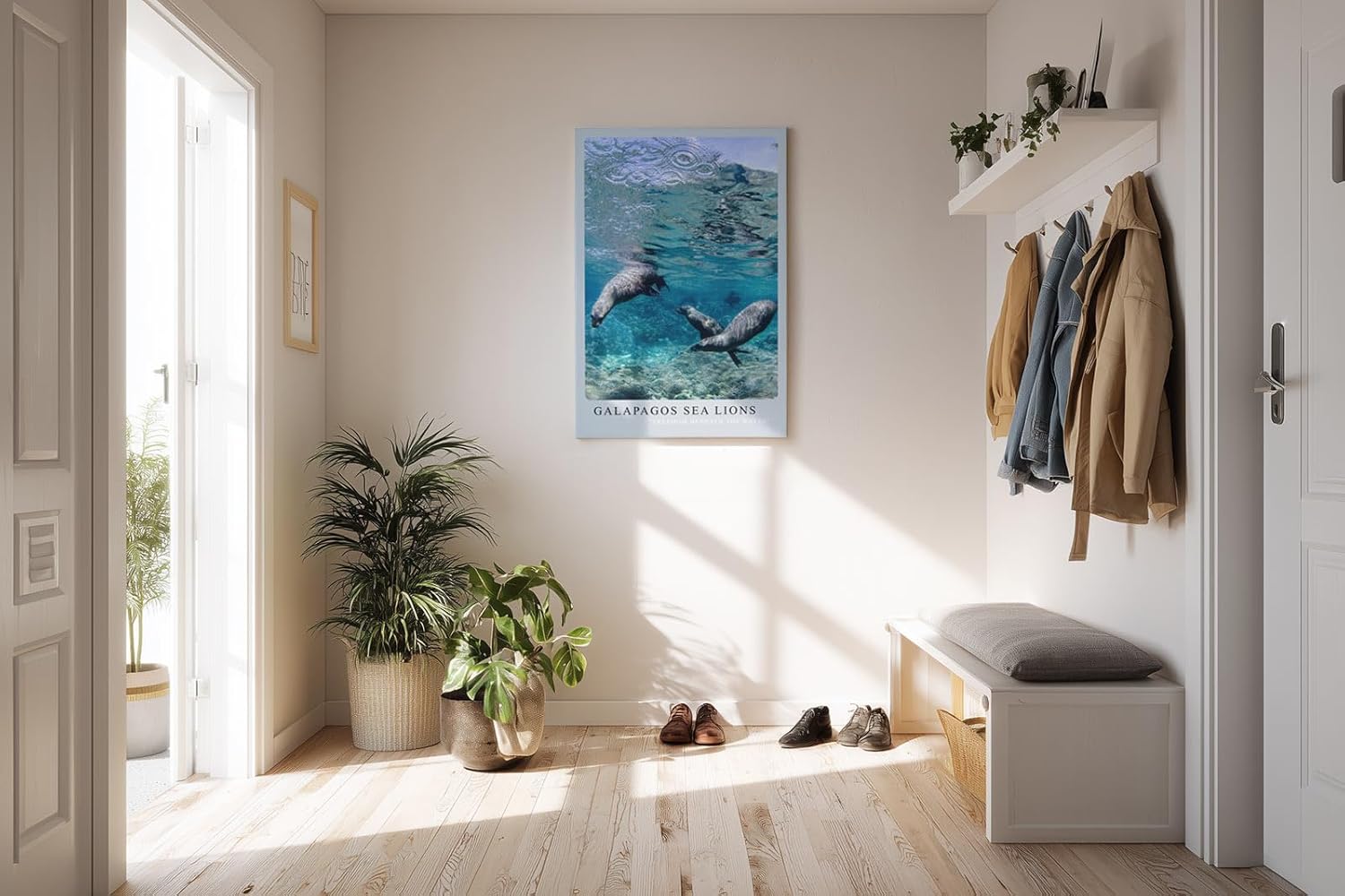 Paul Sinus Kunstdruck 40x60cm Galapagos Sea Lions – Verspielte Seelöwen unter Wasser in tropischem Blau
