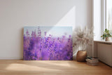 Sinus Art Wandbild 120x80cm Duftender Lavendel in sanften Lila- und Blautönen mit weichem Hintergrund