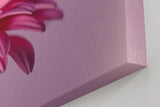 Sinus Art Wandbild 120x80cm Faszinierende Nahaufnahme einer rosa Blüte für eine elegante und ruhige Raumwirkung