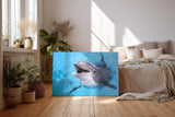 Sinus Art Wandbild 120x80cm Freundlicher Delfin in klarem Wasser – ein lebendiges und positives Motiv