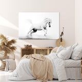 Paul Sinus Wandbild 120x80cm Weißes Pferd Wildpferd Schwarz Weiß Fotokunst