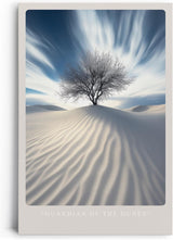 Paul Sinus Leinwandbild 60x90cm Guardian of the Dunes – Mystischer Baum in der Wüste, Sanddünen, Licht und Schatten, Himmel, Natur, Stille, Einsamkeit