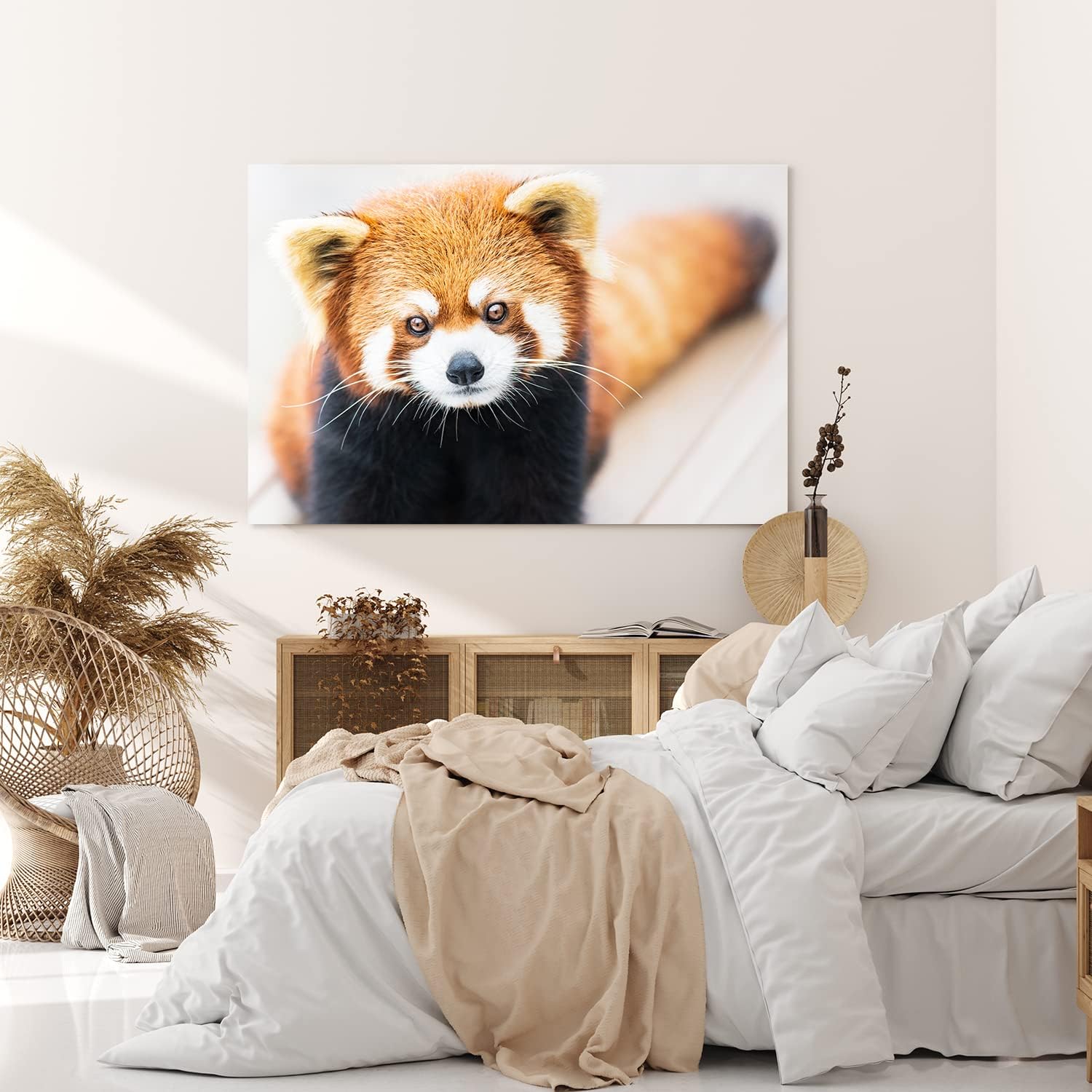 Paul Sinus Wandbild 120x80cm Kleiner roter Panda Tierfotografie Süß Flauschig