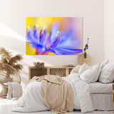 Paul Sinus Wandbild 120x80cm Blume Blüte Orchidee Nahaufnahme Makrofotografie