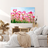 Paul Sinus Wandbild 120x80cm Tulpen Blumen Blüten Sommer Sonnenschein Rosa