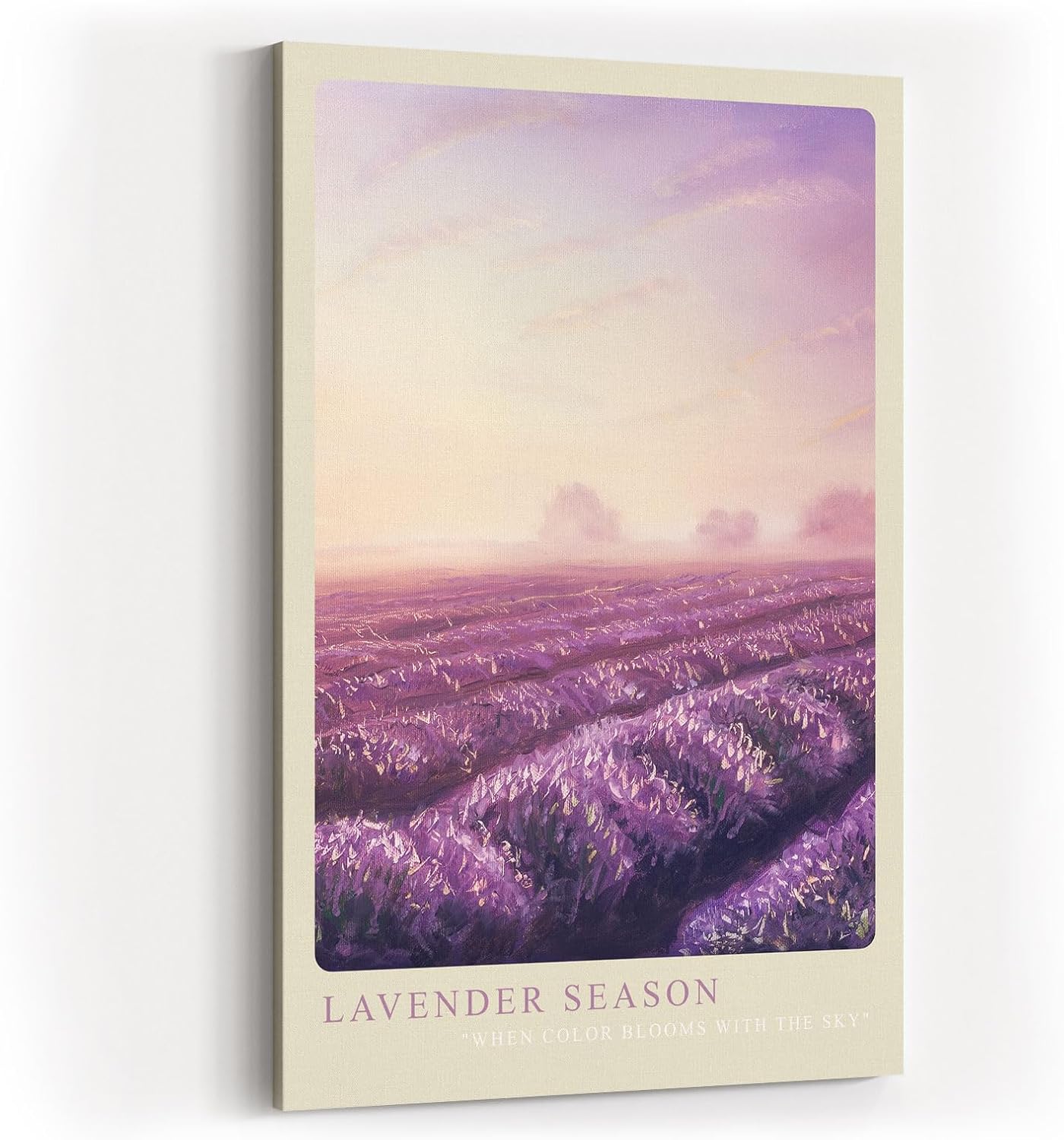 Paul Sinus Kunstdruck 40x60cm Lavender Season Lavendelfeld Sonnenuntergang Provence Violett Naturidylle