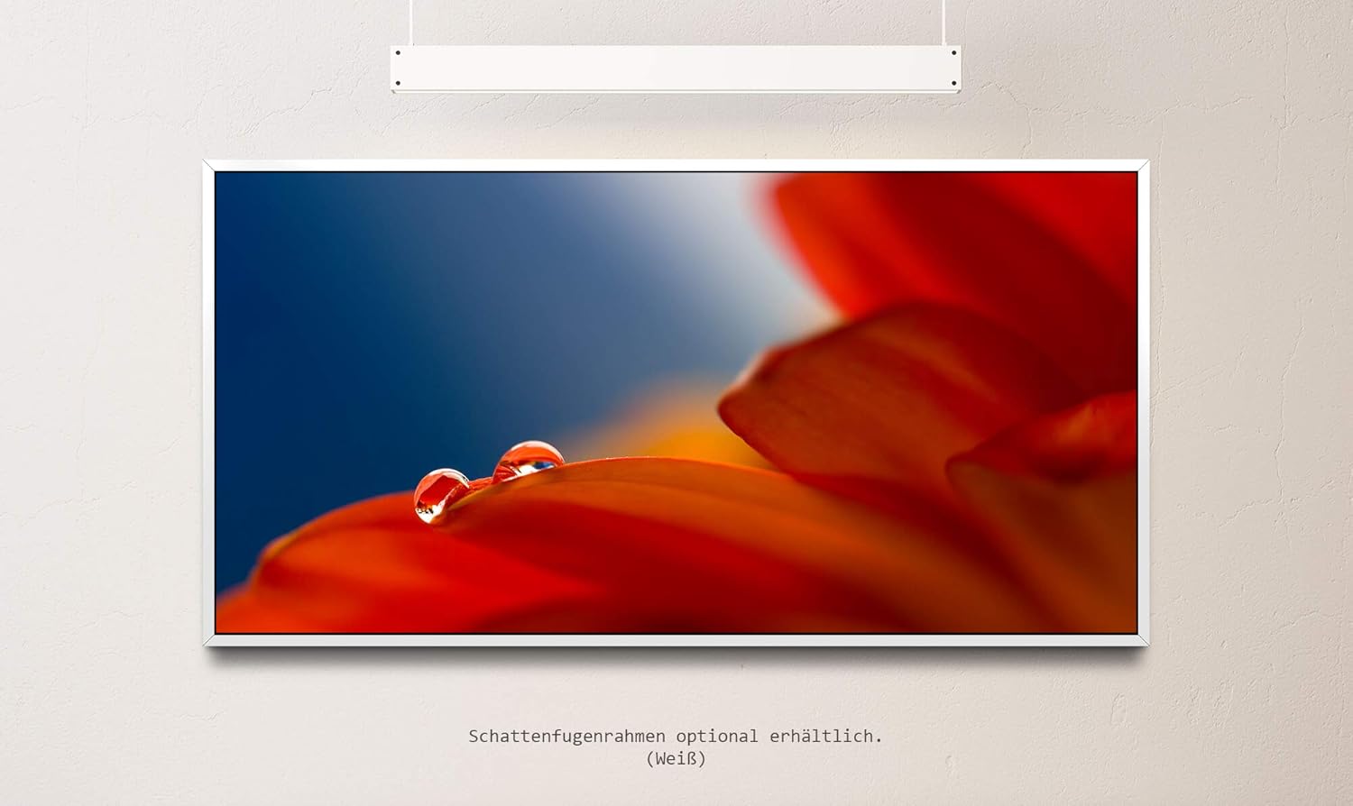 rote Blumen ca. 130x70cm Wandbild inklusive Schattenfugenrahmen weiss - Panorama Leinwand Bild XXL Format Wandbilder Wohnzimmer Wohnung Deko Kunstdrucke