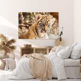 Paul Sinus Wandbild 120x80cm Kleiner Tiger Babytiger Tierfotografie Katze Katzenbaby
