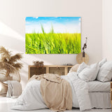 Paul Sinus Wandbild 120x80cm Weizenfeld Weizen Sommer blauer Himmel Natur