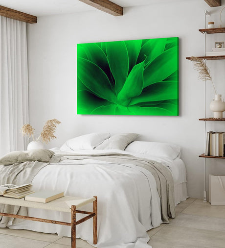 Paul Sinus Wandbild 120x80cm Aloe Vera Pflanze Grün Nahaufnahme Kunstvoll