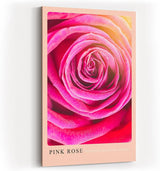 Paul Sinus Kunstdruck 40x60cm Pink Rose Nahaufnahme Blüte Rosa Makro Blume Romantik