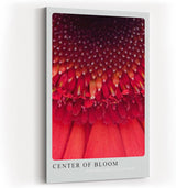Paul Sinus Kunstdruck 40x60cm Center of Bloom – Makroaufnahme einer roten Blüte mit faszinierender Struktur und Tiefe