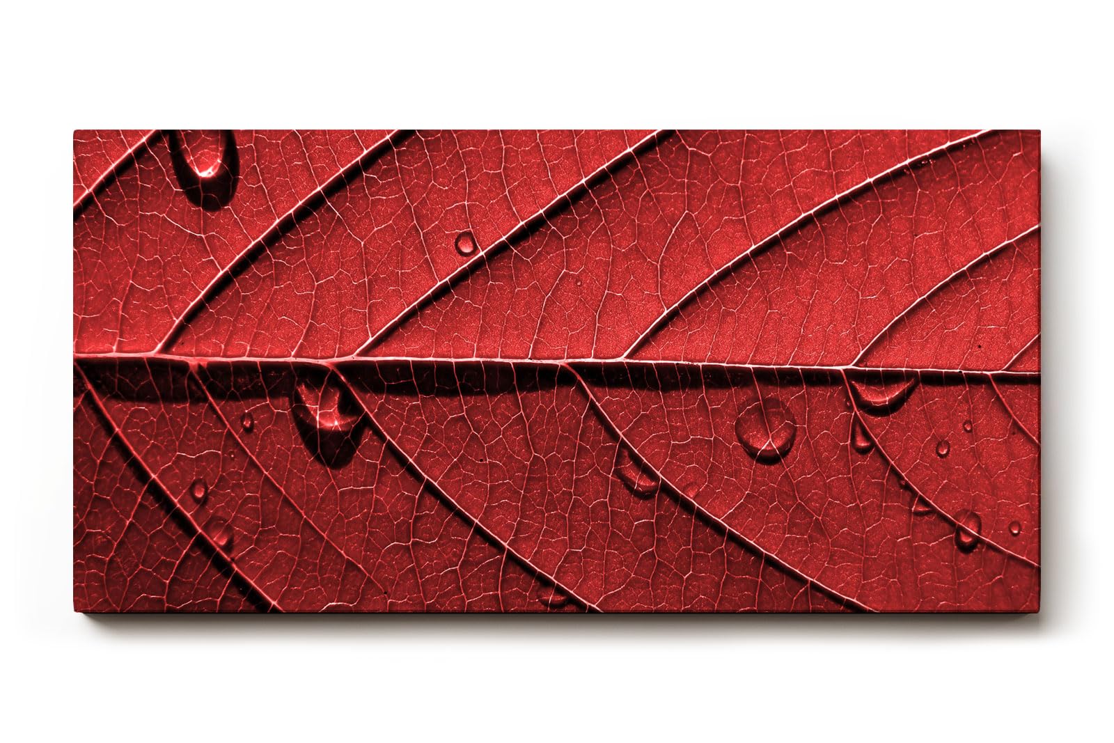 Sinus Art Wandbild 120x80cm Perfektes Motiv für alle, die grafische Naturästhetik mit Eleganz verbinden