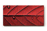 Sinus Art Wandbild 120x80cm Perfektes Motiv für alle, die grafische Naturästhetik mit Eleganz verbinden