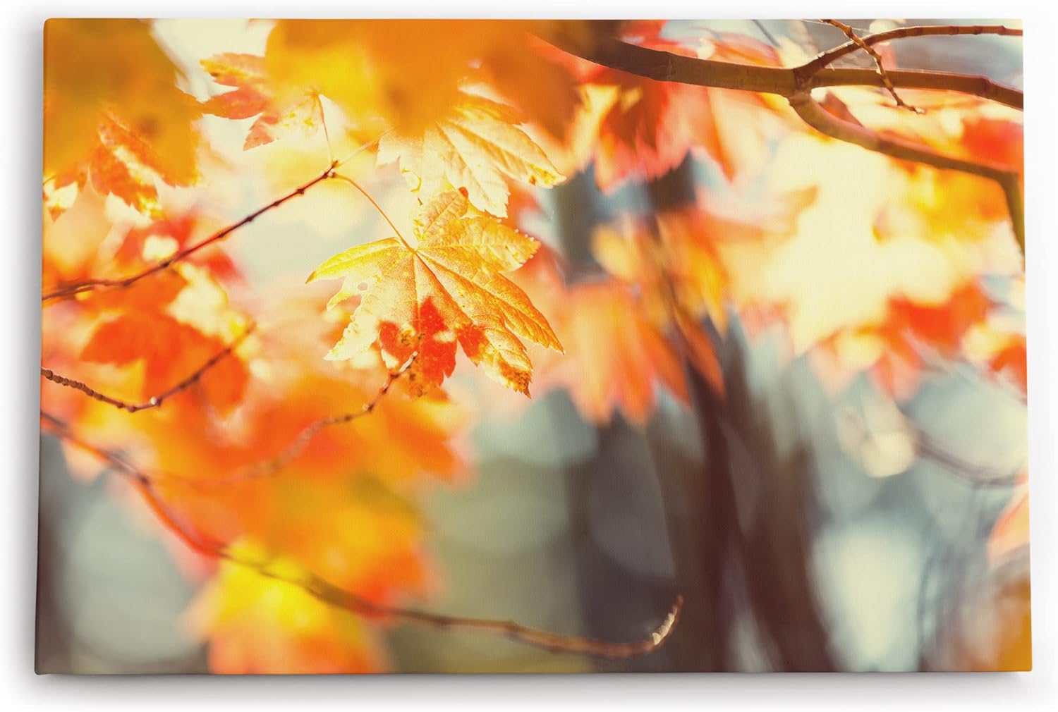 Paul Sinus Wandbild 120x80cm Herbst Herbstblatt Baum Zweige Äste Sonnenschein