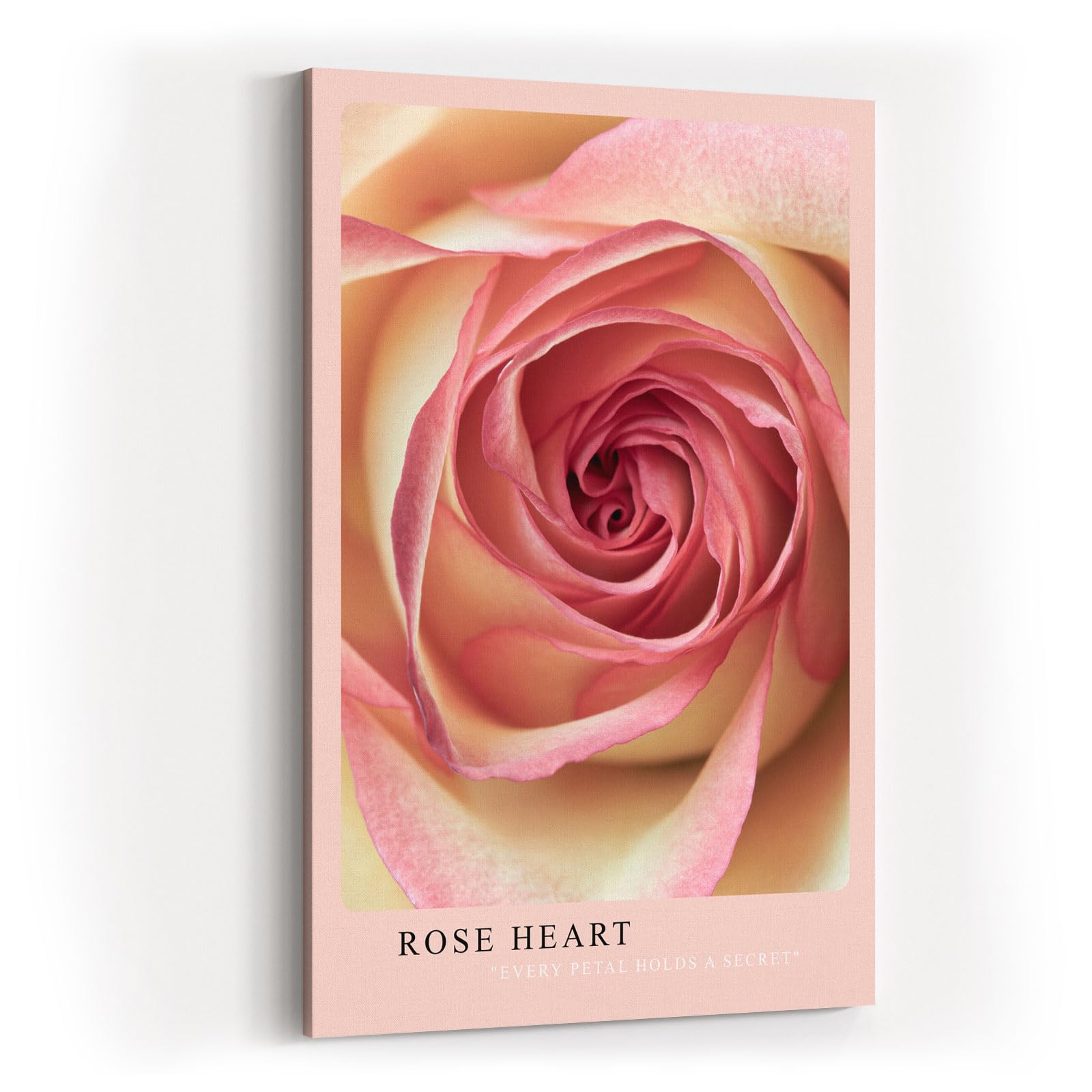 Paul Sinus Kunstdruck 40x60cm Rose Heart – Die Poesie der Rose in zartem Zentrum