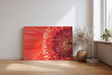 Sinus Art Wandbild 120x80cm Atemberaubende Nahaufnahme einer roten Blüte mit faszinierender Textur und Tiefe