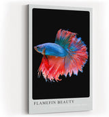 Paul Sinus Kunstdruck 40x60cm Kampffisch mit flammenden Flossen – Farben in perfekter Bewegung eingefangen