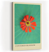 Paul Sinus Kunstdruck 40x60cm Blume Makro Lotus Balance grün rot Centered Blossom