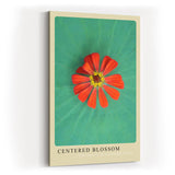 Paul Sinus Kunstdruck 40x60cm Blume Makro Lotus Balance grün rot Centered Blossom