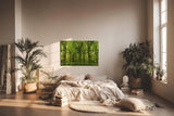 Sinus Art Wandbild 120x80cm Dichte Baumreihen und leuchtendes Laub schaffen eine friedliche, harmonische Stimmung