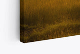 Paul Sinus Wandbild 120x80cm Afrikanische Landschaft Burkea Africana Bäume Sonnenuntergang