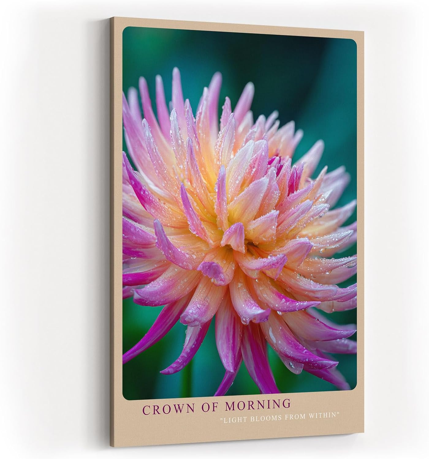 Paul Sinus Wandbild in 40x60cm Crown of Morning – leuchtendes Blütenporträt mit zarten Tautropfen in warmen Farbtönen für frische Wohnakzente