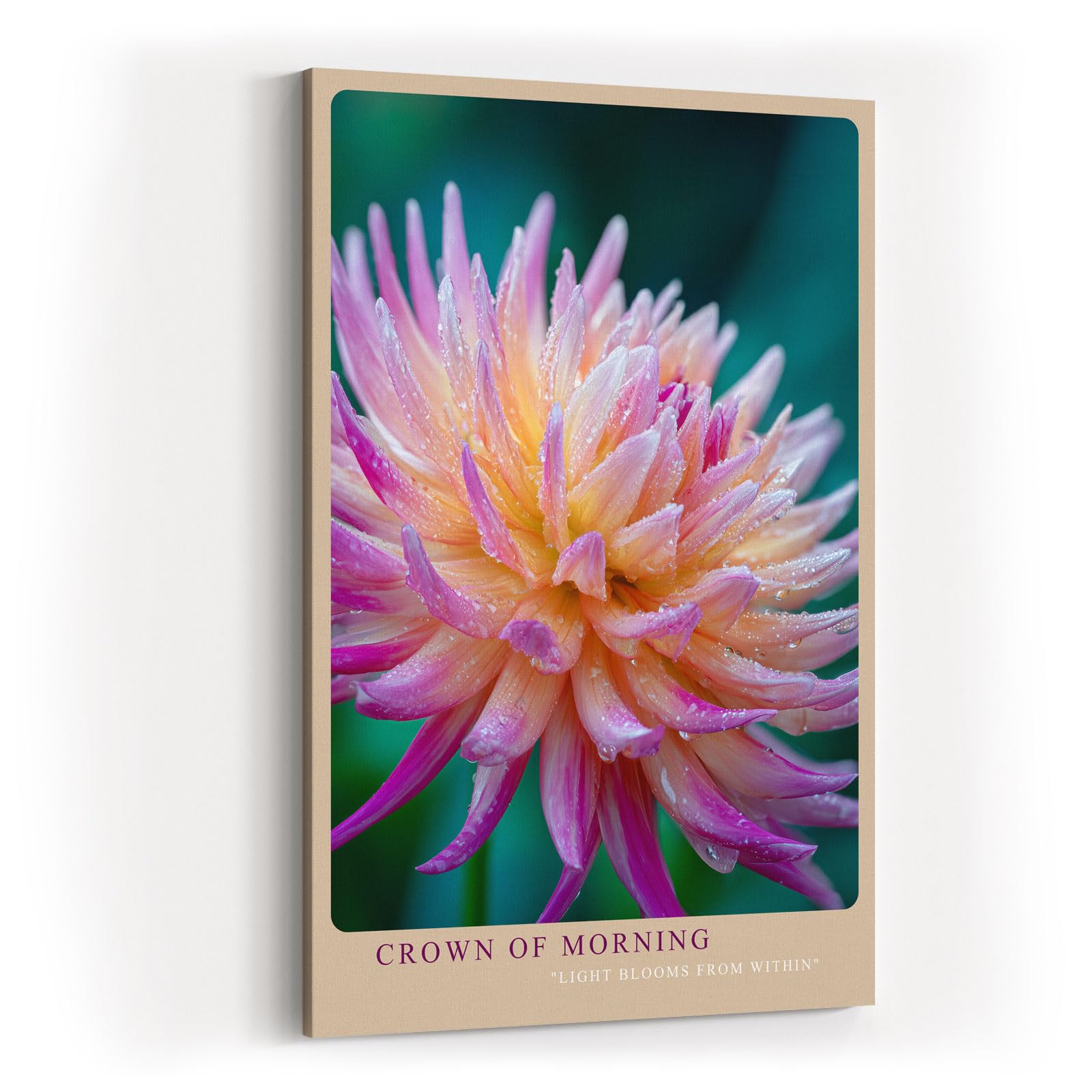 Paul Sinus Wandbild in 40x60cm Crown of Morning – leuchtendes Blütenporträt mit zarten Tautropfen in warmen Farbtönen für frische Wohnakzente