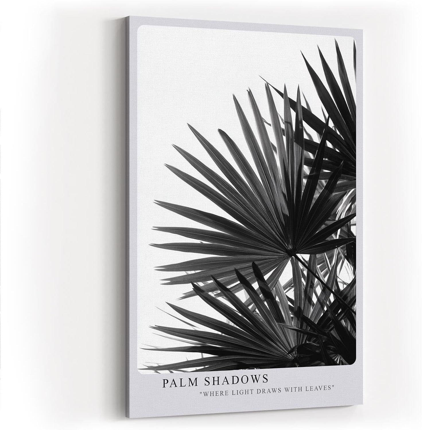 Paul Sinus Wandbild in 40x60cm Palm Shadows – Schwarz-weißes Palmenblattmotiv mit markanten Lichtund Schattenspielen