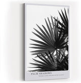 Paul Sinus Wandbild in 40x60cm Palm Shadows – Schwarz-weißes Palmenblattmotiv mit markanten Lichtund Schattenspielen
