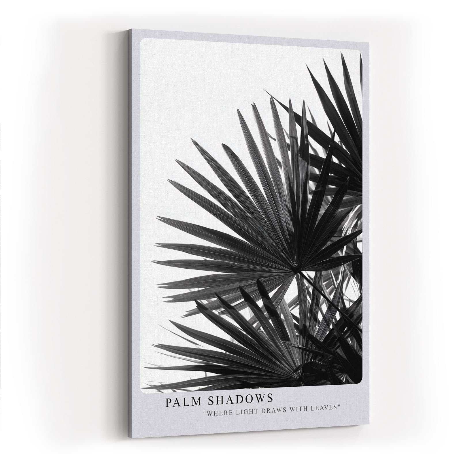 Paul Sinus Wandbild in 40x60cm Palm Shadows – Schwarz-weißes Palmenblattmotiv mit markanten Lichtund Schattenspielen