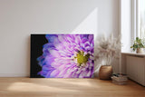 Sinus Art Wandbild 120x80cm Makro einer geöffneten Blüte – fesselnde Struktur mit leuchtendem Zentrum