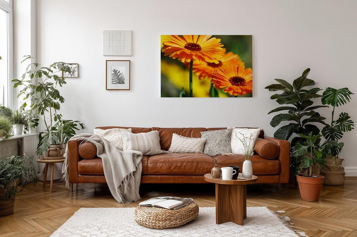 Sinus Art Wandbild 120x80cm Strahlende Ringelblumen in voller Blüte mit lebendiger Bildtiefe und Klarheit