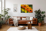 Sinus Art Wandbild 120x80cm Strahlende Ringelblumen in voller Blüte mit lebendiger Bildtiefe und Klarheit
