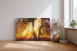 Sinus Art Wandbild 120x80cm Sonnenstrahlen brechen durch goldene Baumkronen und schaffen eine warme Atmosphäre