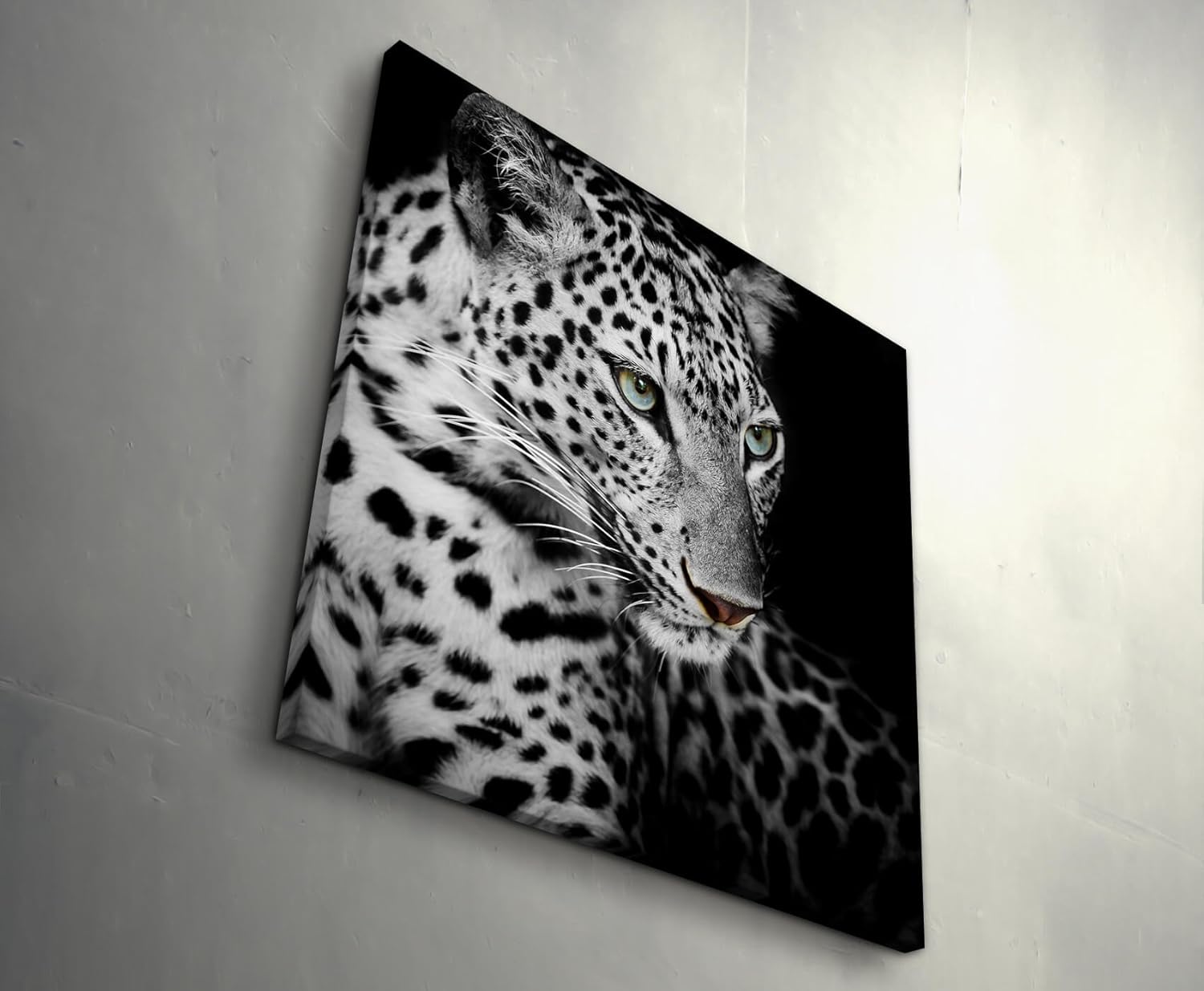 Paul Sinus Art Leinwandbilder | Bilder Leinwand 60x60cm Portrait eines liegenden Leoparden schwarzweiß