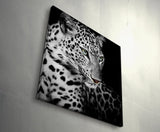 Paul Sinus Art Leinwandbilder | Bilder Leinwand 60x60cm Portrait eines liegenden Leoparden schwarzweiß
