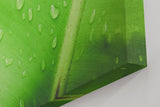 Sinus Art Wandbild 120x80cm Frisches grünes Blatt mit Wassertropfen – Symbol für Reinheit und Natur