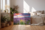Sinus Art Wandbild 120x80cm Leuchtende Lupinen in Violett, Pink und Gelb vor einem dramatischen Abendhimmel
