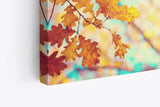 Paul Sinus Wandbild 120x80cm Eichenblatt Blatt Herbst Herbstblätter Baum Sonnenschein