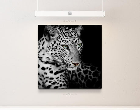 Paul Sinus Art Leinwandbilder | Bilder Leinwand 60x60cm Portrait eines liegenden Leoparden schwarzweiß